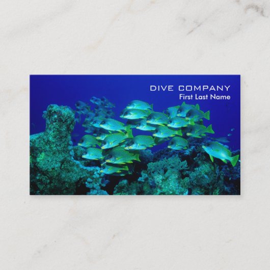 Diepe zee vissen op visitekaartjes van duikbedrijv (Voorkant)