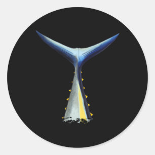 Diepe Zee Vist Tonijnstaart Ronde Sticker