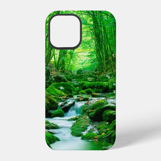 Diepe zomer boswoud,achterland,diep,diepte,stroom, iPhone hoesje (Achterkant)