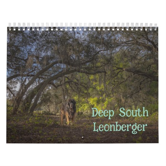 Diepe Zuid Leonberger Kalender (Hoes)