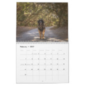 Diepe Zuid Leonberger Kalender (Feb 2027)