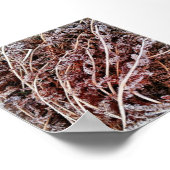 Diepgevroren, droge, dode winterbladeren poster (Hoek)