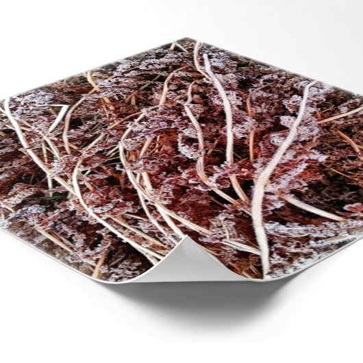 Diepgevroren, droge, dode winterbladeren poster (Hoek)