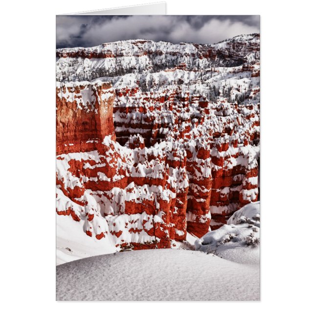 Diepgevroren landschap (Voorkant)