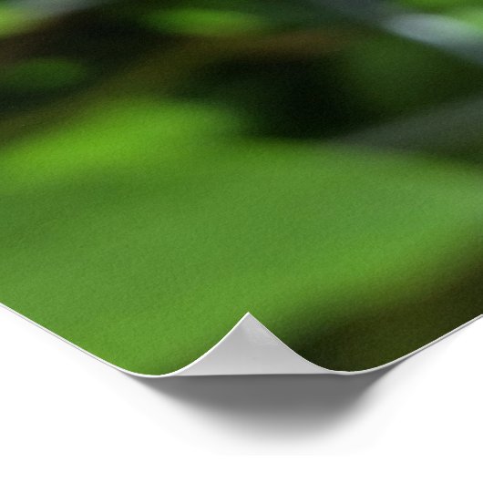 dieproze knop poster (Hoek)