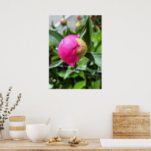 dieproze knop poster (Keuken)