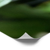 dieproze knop poster (Hoek)