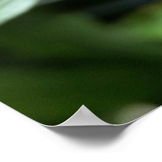 dieproze knop poster (Hoek)