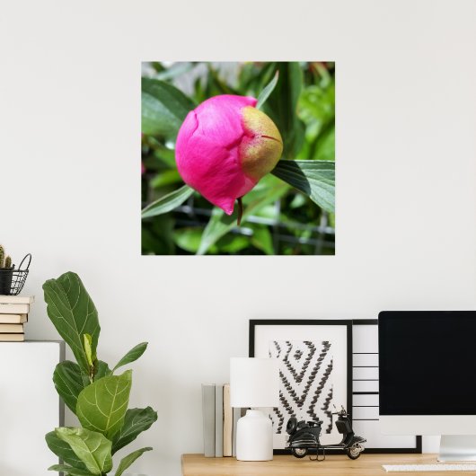 dieproze knop poster (Thuiskantoor)