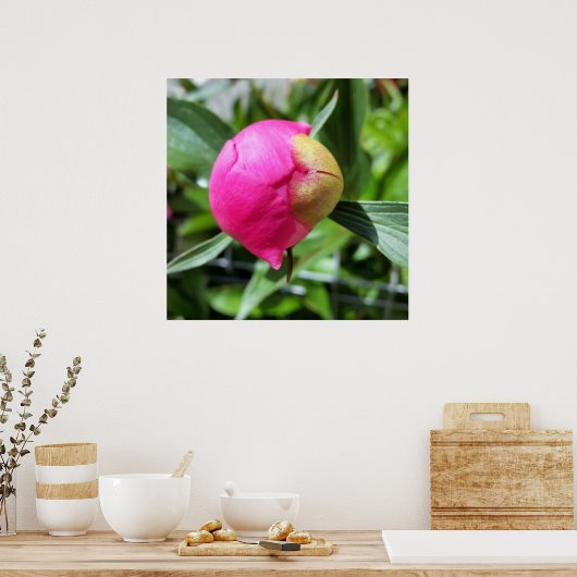 dieproze knop poster (Keuken)