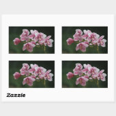 Dieproze orchidee rechthoek sticker (Vel)