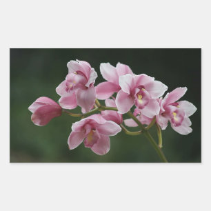 Dieproze orchidee rechthoek sticker