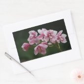 Dieproze orchidee rechthoek sticker (Envelop)
