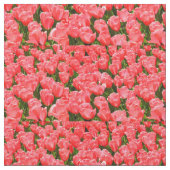 Dieproze tulpen stof (Close Up)