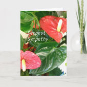 diepste medeleven kaart (Voorkant)