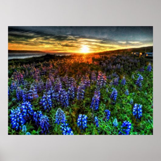 diepte 58 poster (Voorkant)