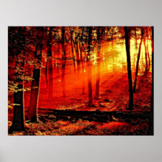 Diepte 59 Dabble Poster