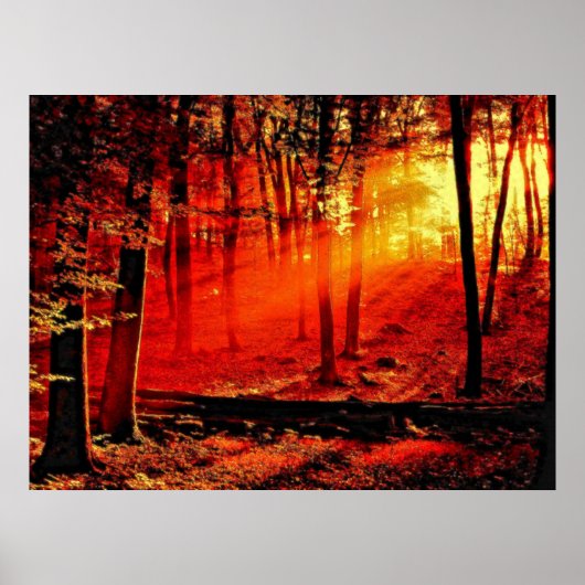 diepte 59 poster (Voorkant)