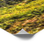 Diepte 84 Bristle Poster (Hoek)