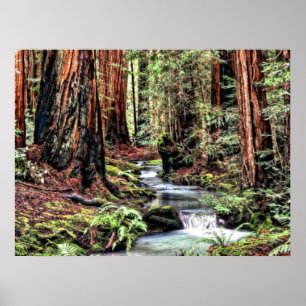 Diepte 92 Bristle Lum Focus Poster