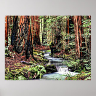 Diepte 92 Bristle Lum Focus Poster