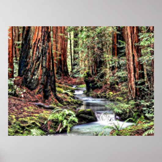 Diepte 92 Bristle Poster (Voorkant)