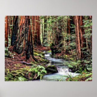 Diepte 92 Bristle Poster