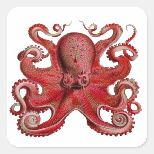 DIEPTEMEESTER VIERKANTE STICKER (Voorkant)
