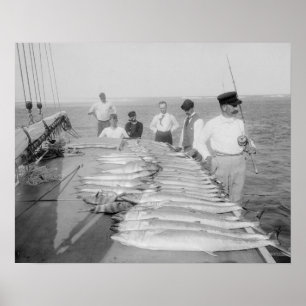 Diepzeevisserij, 1894. Antieke foto Poster