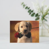 Dier Briefkaart (Staand voorkant)