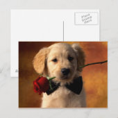 Dier Briefkaart (Voorkant / Achterkant)