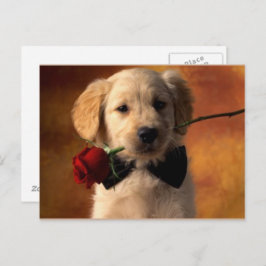 Dier Briefkaart (Voorkant / Achterkant)