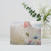 Dier Briefkaart (Staand voorkant)