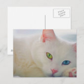 Dier Briefkaart (Voorkant / Achterkant)