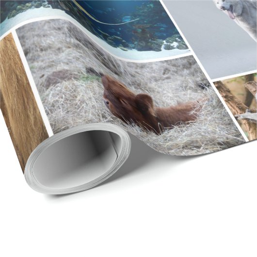 Dier Cadeaupapier (Rol Hoek)