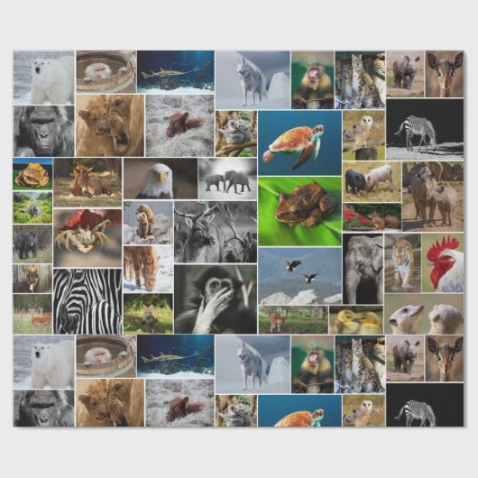 Dier Cadeaupapier (Vlak)