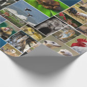 Dier Cadeaupapier (Hoek)