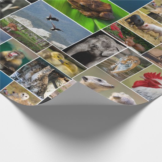 Dier Cadeaupapier (Hoek)