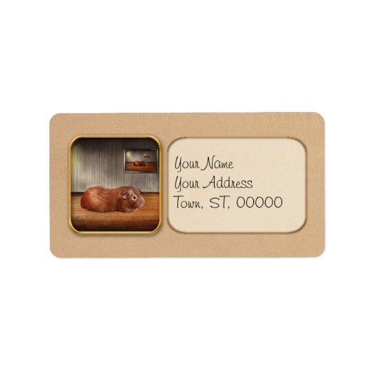 Dier - De cavia Etiket (Voorkant)