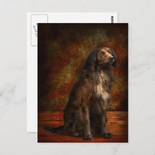Dier - Dog - Cocker Spaniel - Die droomogen Briefkaart (Voorkant / Achterkant)