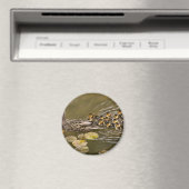 Dier - Eenden - Zwemmen als een eend Magneet (Insitu (Vaatwasser))