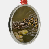 Dier - Eenden - Zwemmen als een eend Metalen Ornament (Rechts)