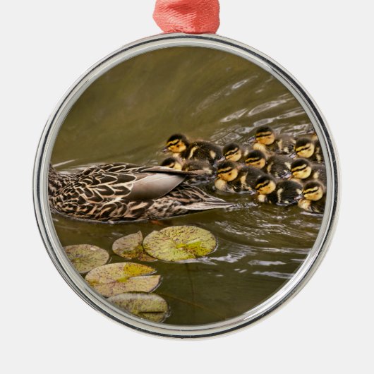 Dier - Eenden - Zwemmen als een eend Metalen Ornament (Voorkant)