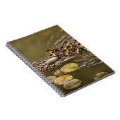 Dier - Eenden - Zwemmen als een eend Notitieboek (Rechterzijde)