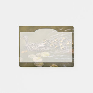 Dier - Eenden - Zwemmen als een eend Post-it® Notes