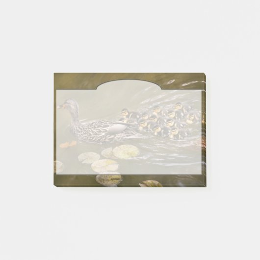 Dier - Eenden - Zwemmen als een eend Post-it® Notes (Voorkant)