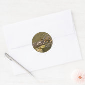 Dier - Eenden - Zwemmen als een eend Ronde Sticker (Envelop)
