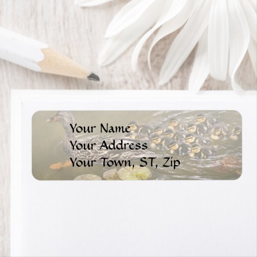 Dier - Eenden - zwom als een eend Etiket (Insitu)