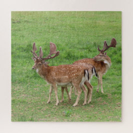 dier, hert, natuur, natuur in het wild, wild, hert legpuzzel