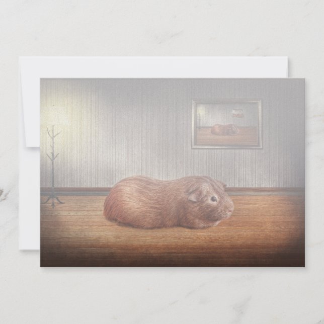 Dier - het cavia (Voorkant)